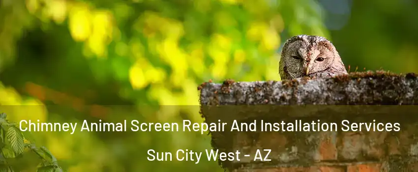  Chimney Animal Screen Repair And Installation Services Sun City West - AZ