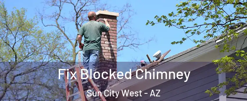  Fix Blocked Chimney Sun City West - AZ