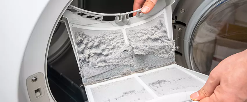 Best Dryer Lint Removal Company in Sun City West, Arizona