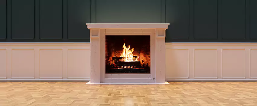 Napoleon Electric Fireplaces Inspection Service in Sun City West, Arizona