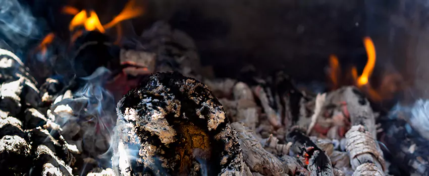 Creosote Removal Experts in Sun City West, AZ