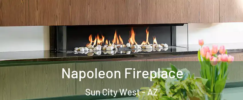  Napoleon Fireplace Sun City West - AZ
